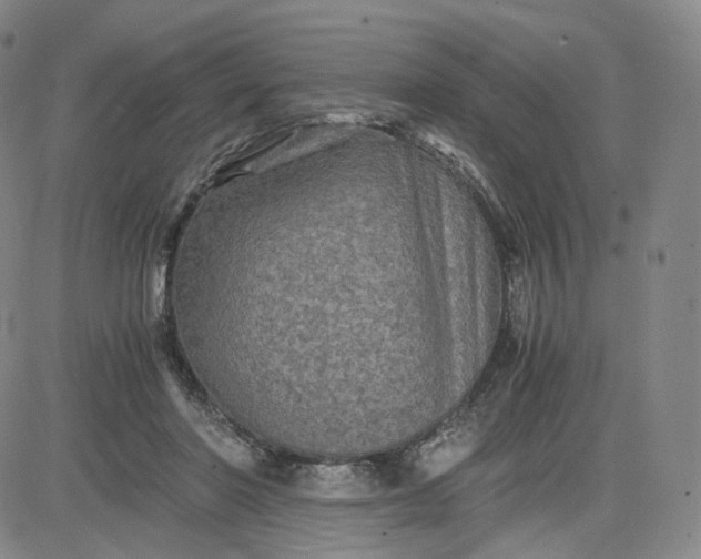 X0000083560406200702231609