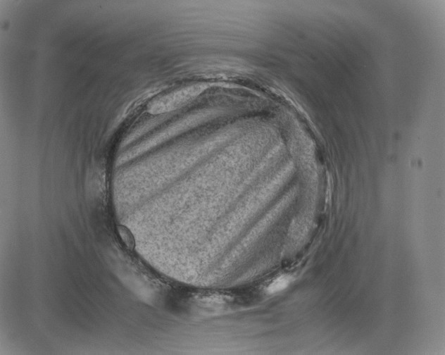 X0000083560407200702231609