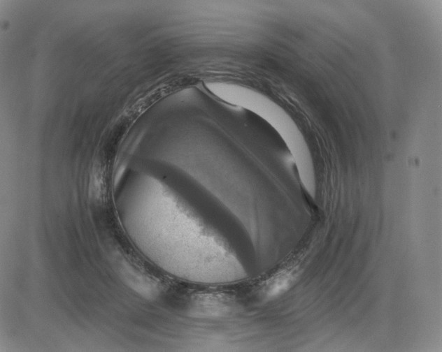 X0000083560408200702231609