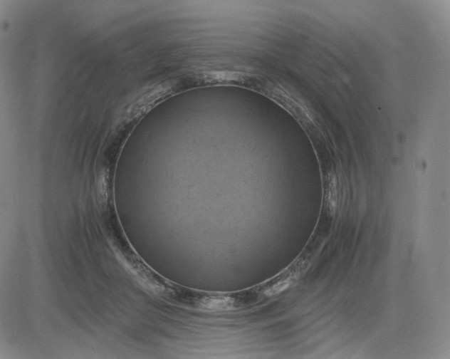 X0000083560410200702231609