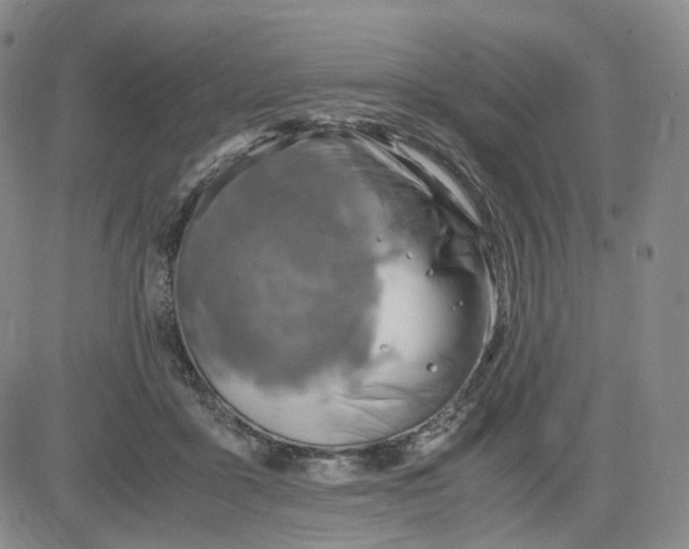 X0000083560411200702231609