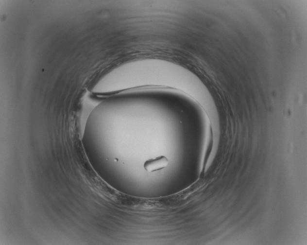 X0000083560412200702231609