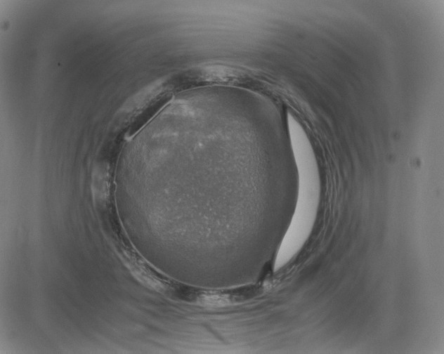 X0000083560413200702231609