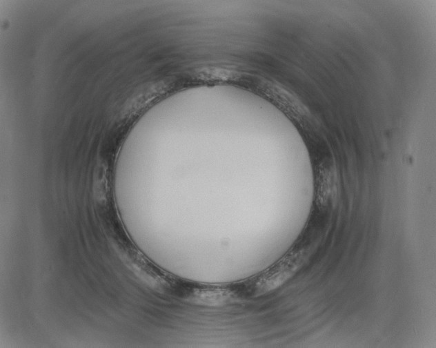 X0000083560414200702231609