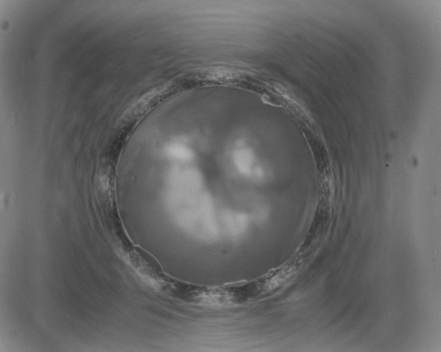 X0000083560415200702231609