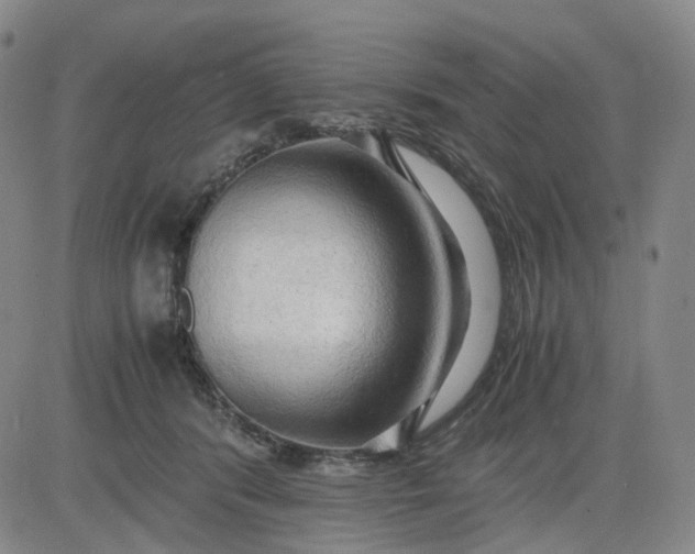 X0000083560416200702231609