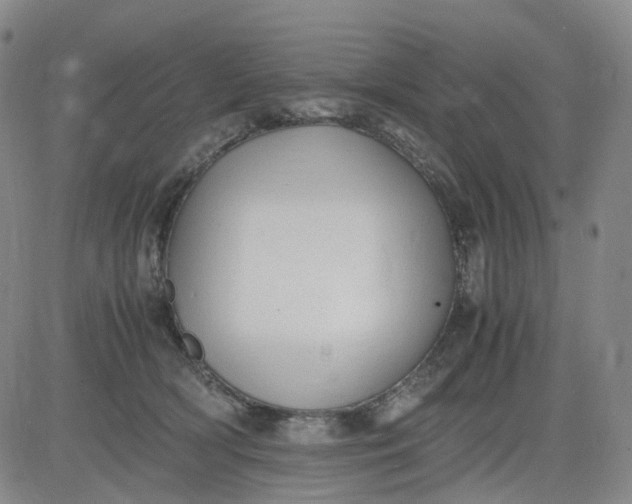 X0000083560418200702231609