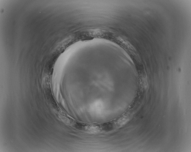 X0000083560419200702231609