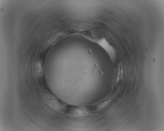 X0000083560420200702231609