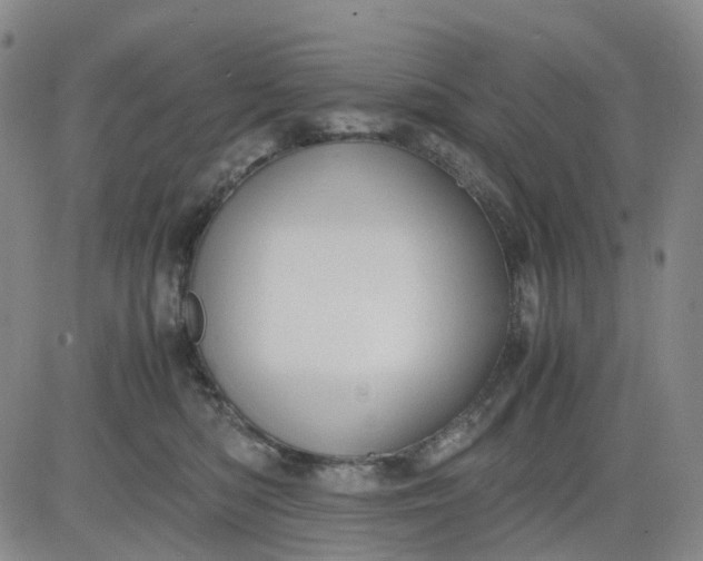 X0000083560422200702231609