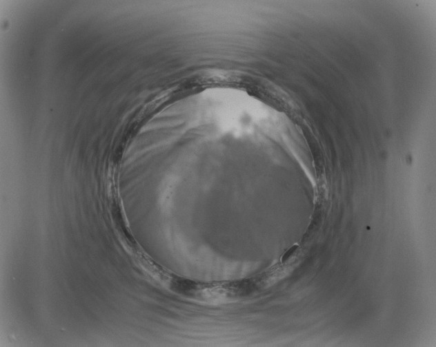 X0000083560423200702231609