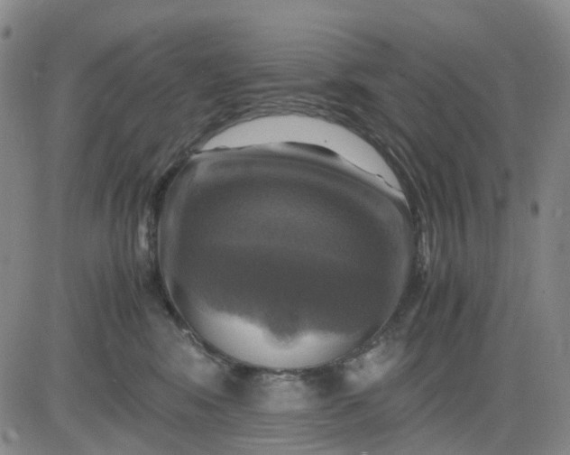 X0000083560424200702231609