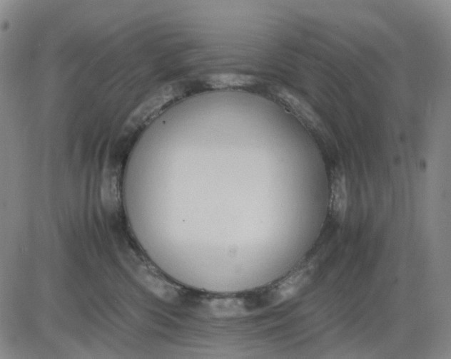 X0000083560426200702231609