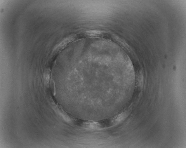 X0000083560427200702231608