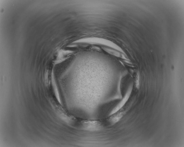 X0000083560428200702231608