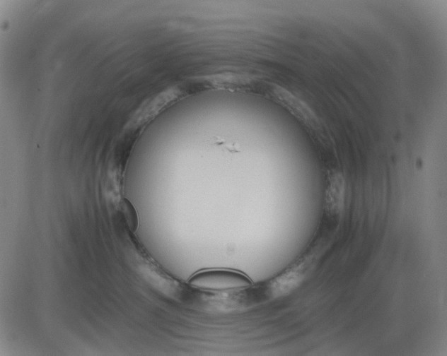 X0000083560430200702231608