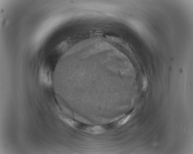 X0000083560431200702231608