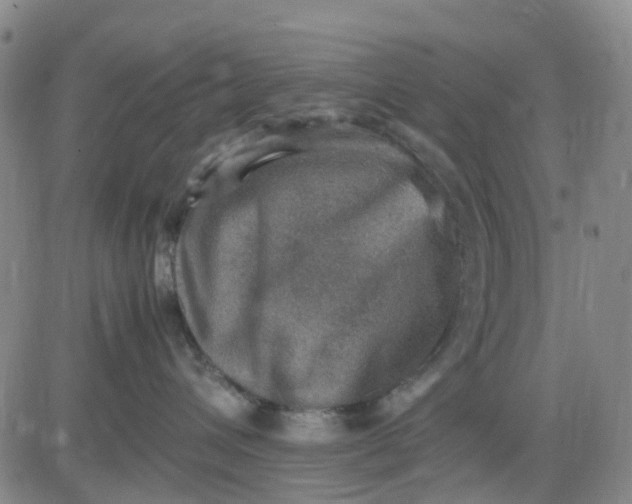 X0000083560432200702231608