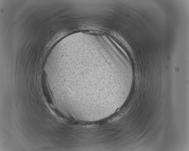 X0000083560433200702231608