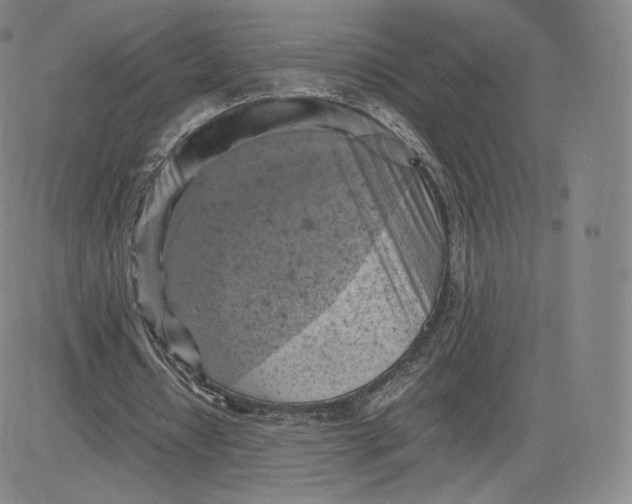 X0000083560434200702231608