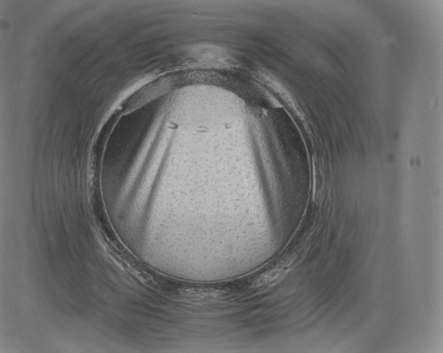 X0000083560435200702231608