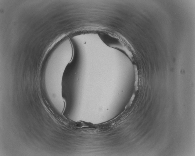 X0000083560436200702231608