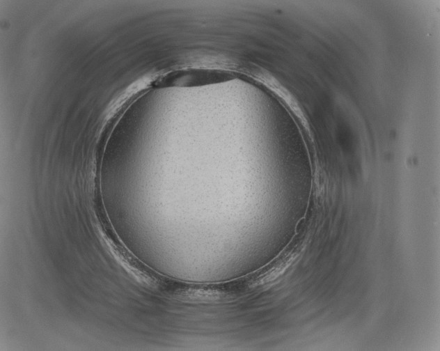 X0000083560437200702231608