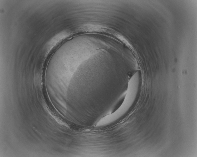 X0000083560438200702231608