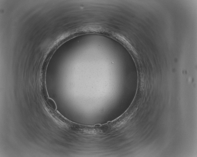 X0000083560439200702231608