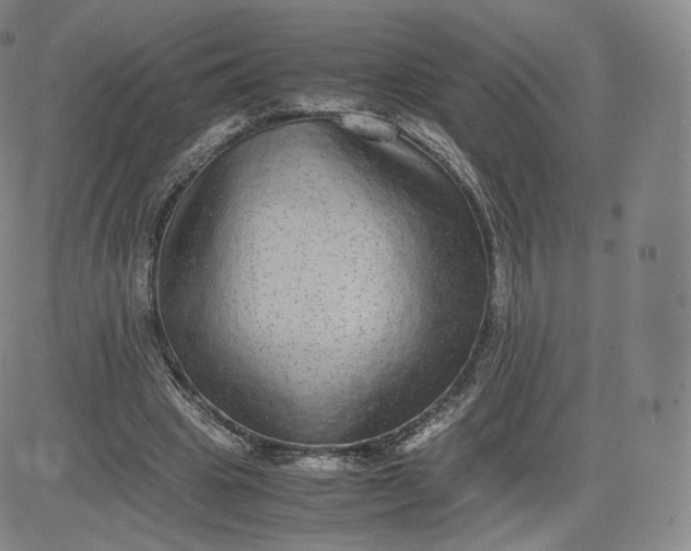 X0000083560441200702231608