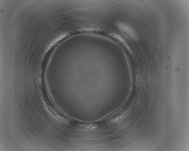 X0000083560443200702231608