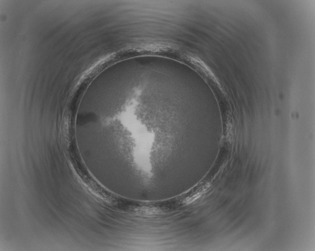 X0000083560444200702231608