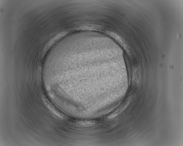 X0000083560445200702231608