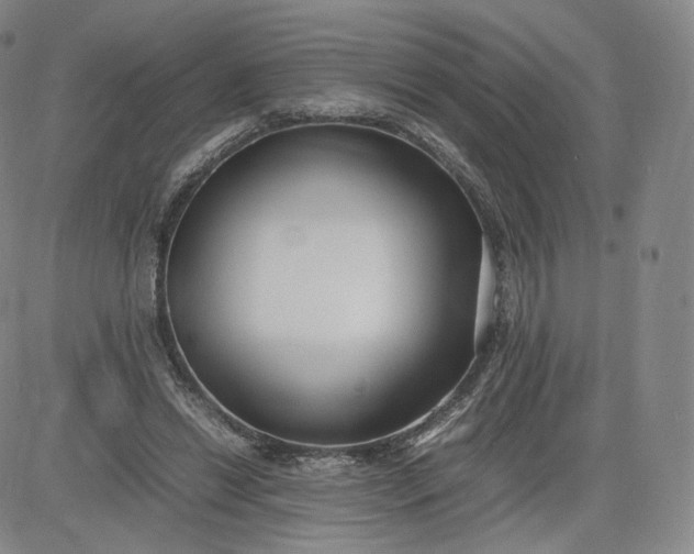 X0000083560446200702231608