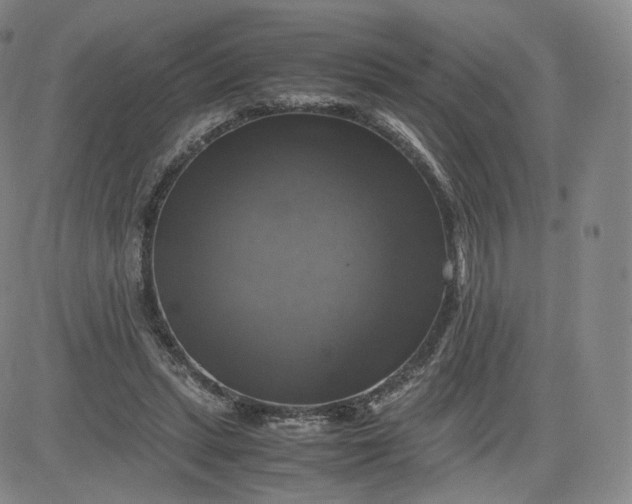 X0000083560447200702231608