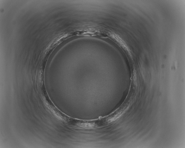 X0000083560449200702231608