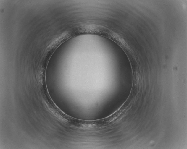 X0000083560450200702231608