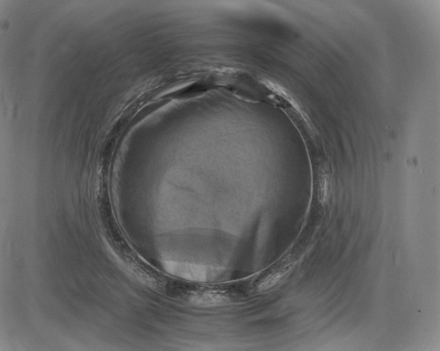 X0000083560451200702231608