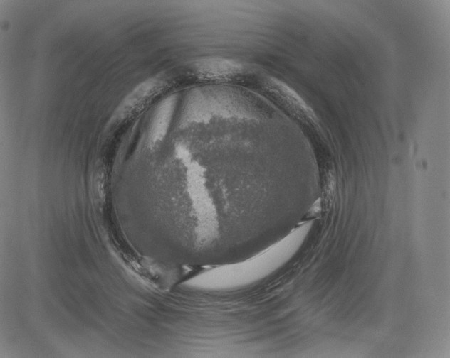 X0000083560452200702231608