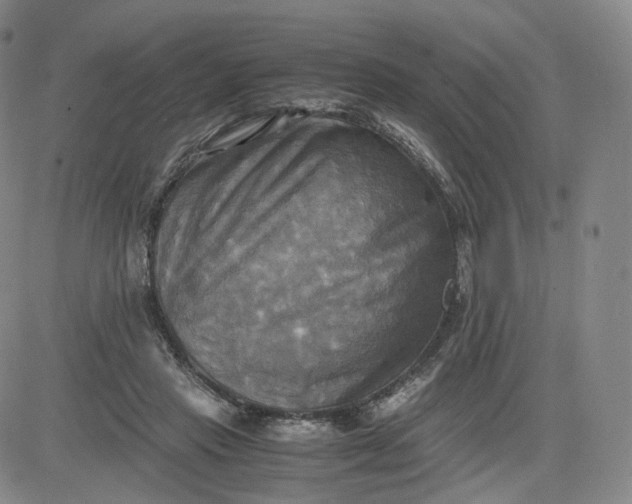 X0000083560453200702231608