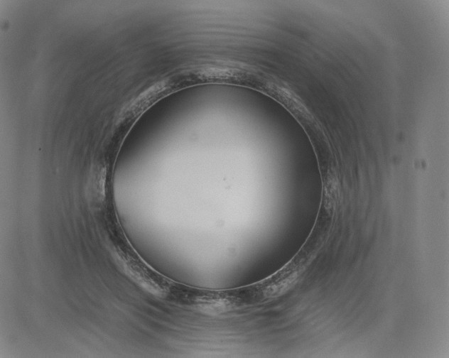 X0000083560454200702231608