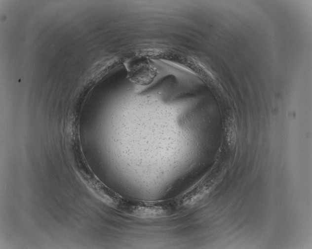 X0000083560455200702231608