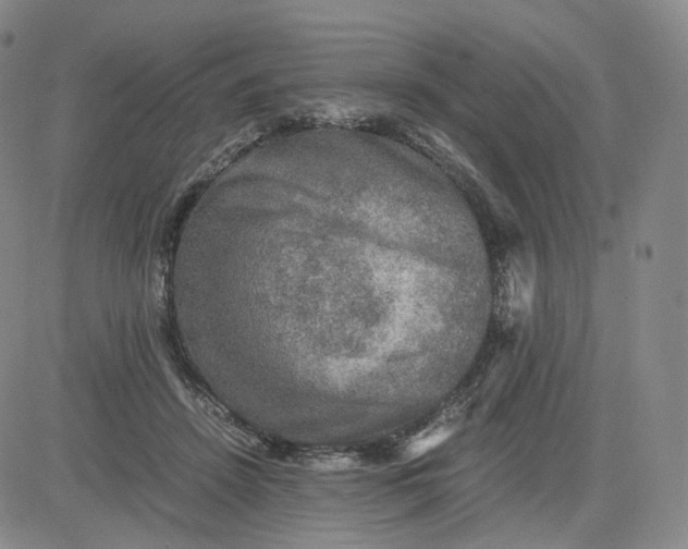 X0000083560456200702231608