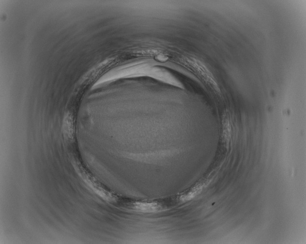 X0000083560457200702231608