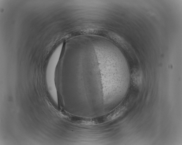 X0000083560458200702231608