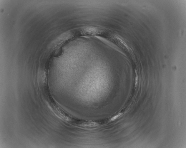 X0000083560459200702231608