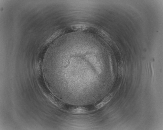 X0000083560460200702231608