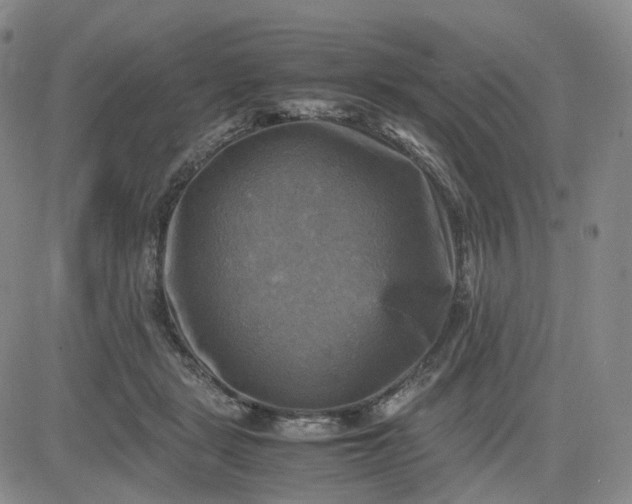 X0000083560461200702231608