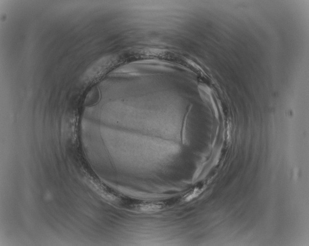 X0000083560462200702231608