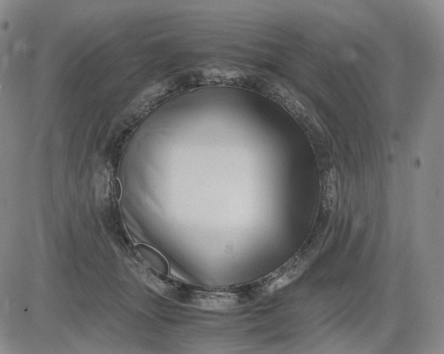 X0000083560463200702231608